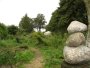 img215.jpeg.small.jpeg