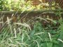 img225.jpeg.small.jpeg