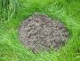 img228.jpeg.small.jpeg