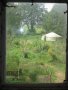 img239.jpeg.small.jpeg