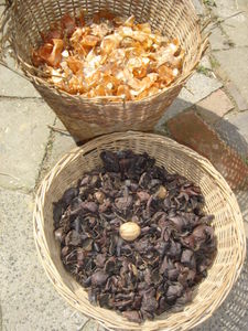 uienschillen