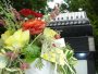 img057.jpeg.small.jpeg