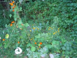 DSC03266.JPG